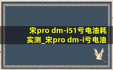 宋pro dm-i51亏电油耗实测_宋pro dm-i亏电油耗实测